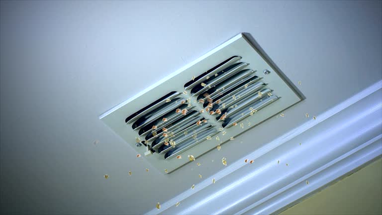 HVAC System Cleaning in Elroy, WI