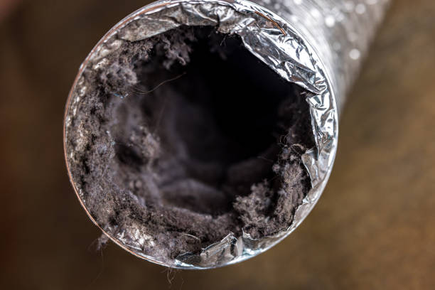 Best HVAC Duct Inspection Services  in Elroy, WI
